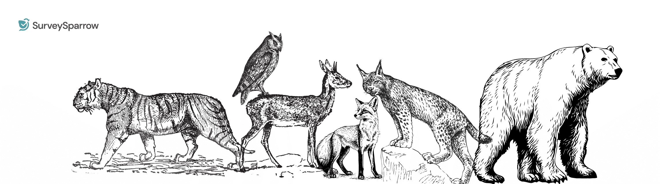 What's My Spirit Animal Quiz! Find Your Spirit Guide!