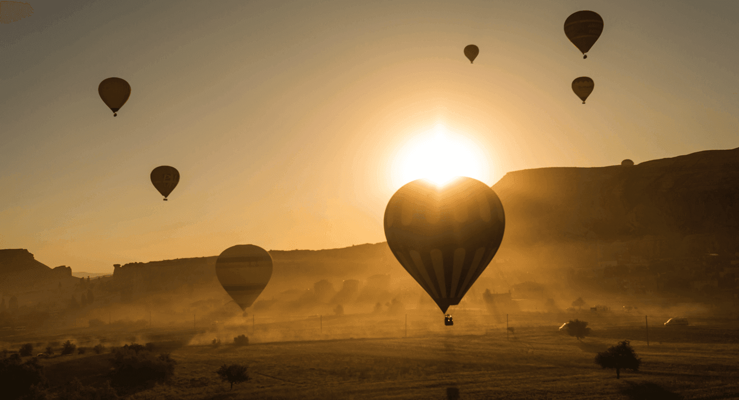 Launch Your Voice of Customer Program in 30 Minutes Flat! Launch Your Voice of Customer Program in 30 Minutes Flat!