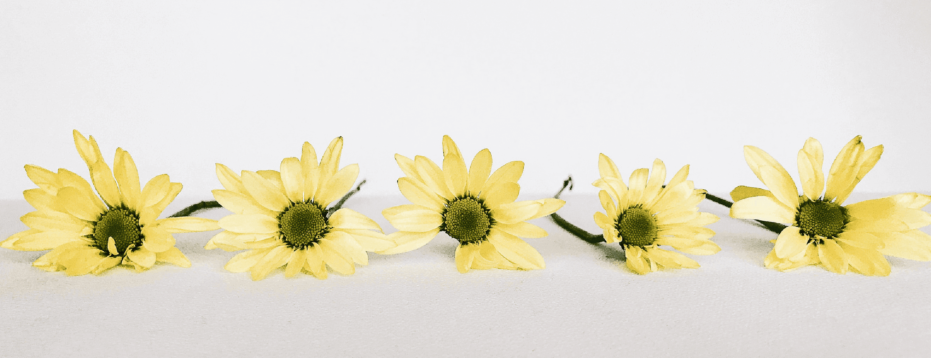 A sprinkle of features to make your Feb fab! A sprinkle of features to make your Feb fab!